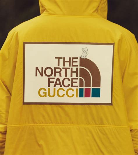 how to buy north face gucci